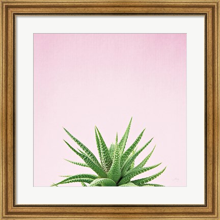 Framed Succulent Simplicity I on Pink Print