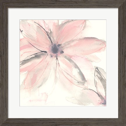 Framed Blush Clematis II Print