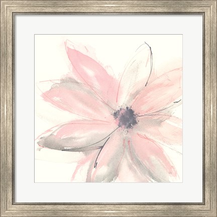 Framed Blush Clematis I Print