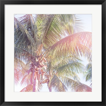 Framed Dream Palm II Print