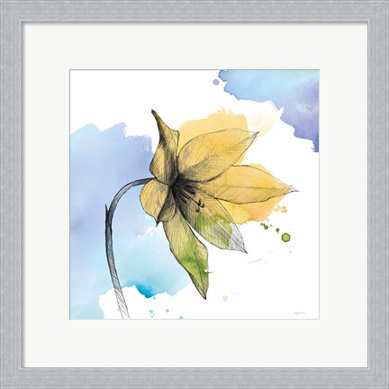Framed Watercolor Graphite Flower VIII Print