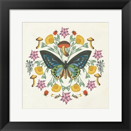 Framed Butterfly Mandala IV Print