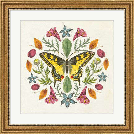 Framed Butterfly Mandala III Print