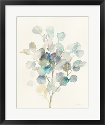 Framed Eucalyptus III Print