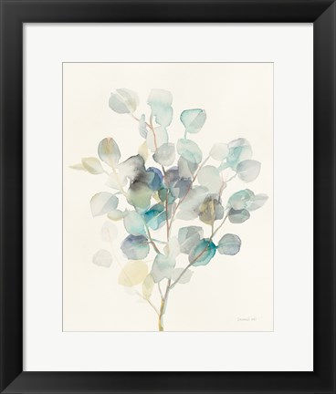 Framed Eucalyptus III Print