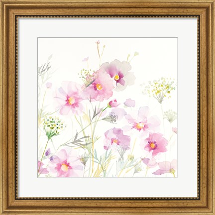 Framed Queen Annes Lace and Cosmos on White II Print