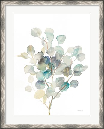Framed Eucalyptus III White Print
