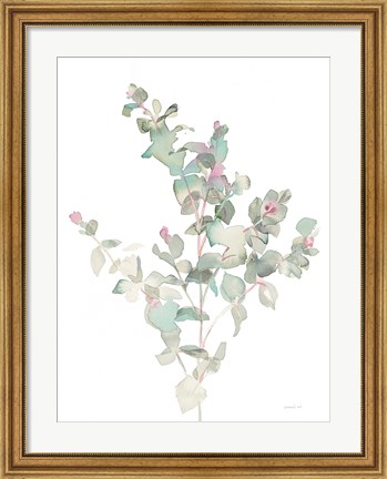 Framed Eucalyptus II White Print
