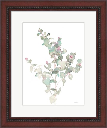 Framed Eucalyptus II White Print