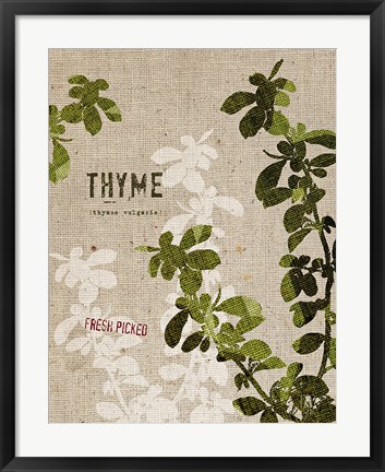Framed Organic Thyme No Butterfly Print