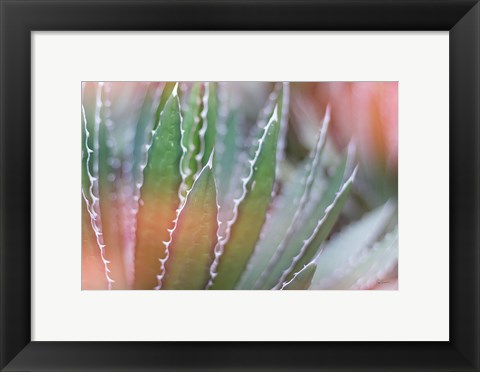 Framed Dream Desert III Print