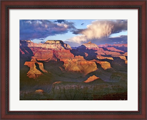 Framed Canyon View III Print