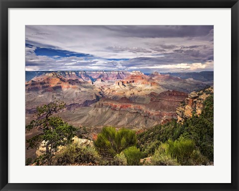Framed Canyon View VI Print