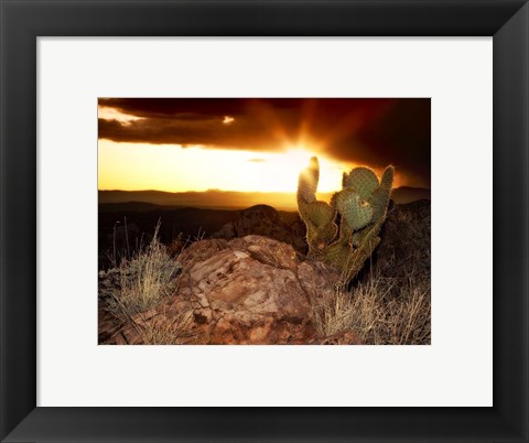 Framed Sunset in the Desert V Print