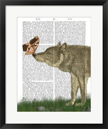 Framed Wolf and Moth Print