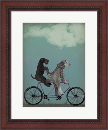 Framed Schnauzer Tandem Print