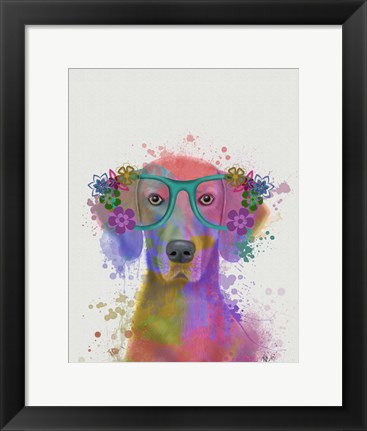 Framed Rainbow Splash Weimaraner, Portrait Print
