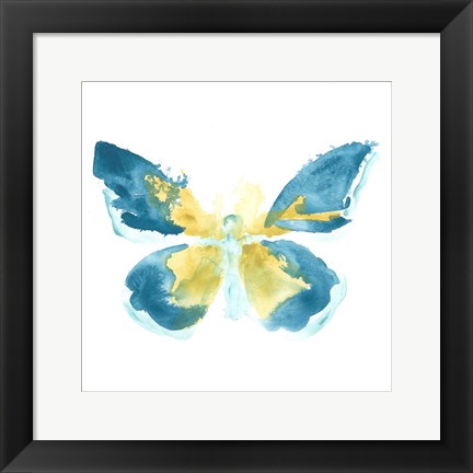 Framed Butterfly Traces I Print