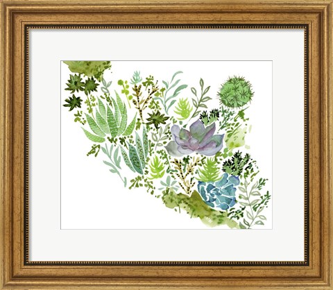 Framed Succulent Field II Print