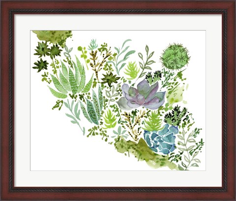 Framed Succulent Field II Print