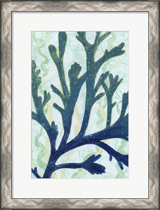 Framed Sea Forest II Print