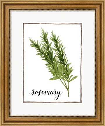 Framed Watercolor Herbs V Print