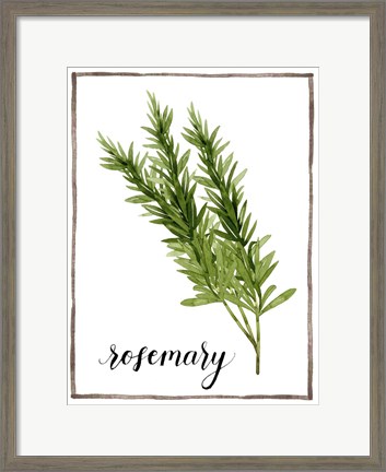 Framed Watercolor Herbs V Print