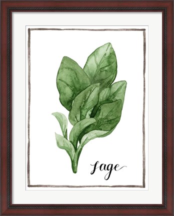 Framed Watercolor Herbs VI Print