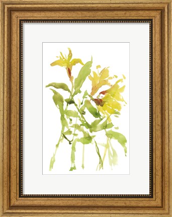 Framed Watercolor Lilies I Print
