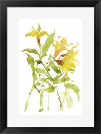 Framed Watercolor Lilies I Print