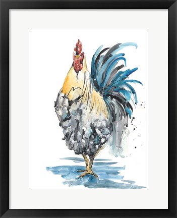 Framed Rooster Splash II Print