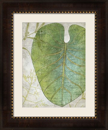 Framed Frond IV Print