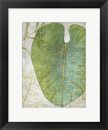 Framed Frond IV Print