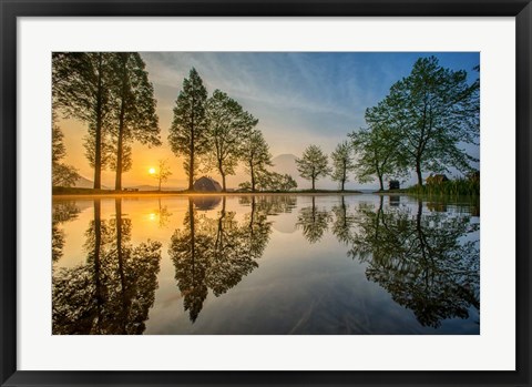 Framed Mount Fuji Reflected In Lake , Japan Print