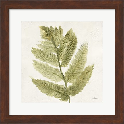 Framed Forest Ferns I Print