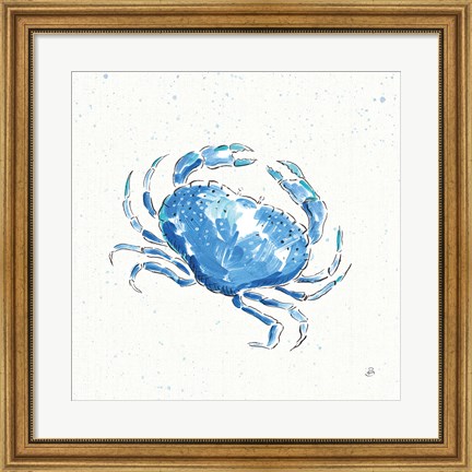 Framed Maritime X Print