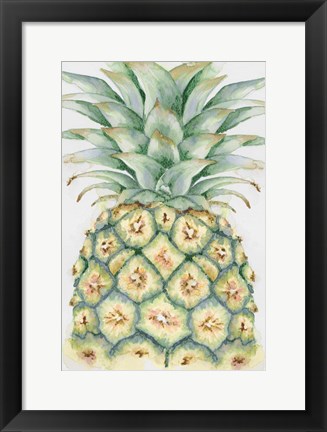 Framed Fruit IV Print