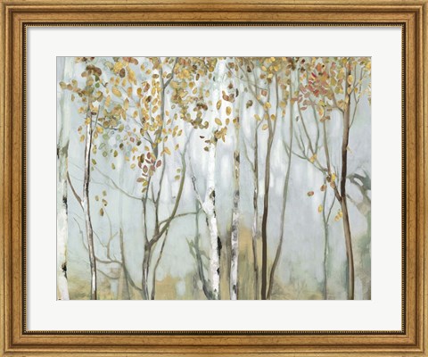 Framed Birch in the Fog II Print