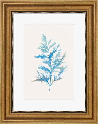 Framed Whimsical Botanical I Print