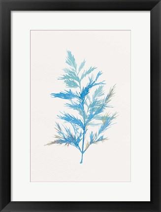 Framed Whimsical Botanical I Print