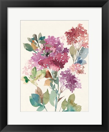 Framed Sweet Hydrangea II Print
