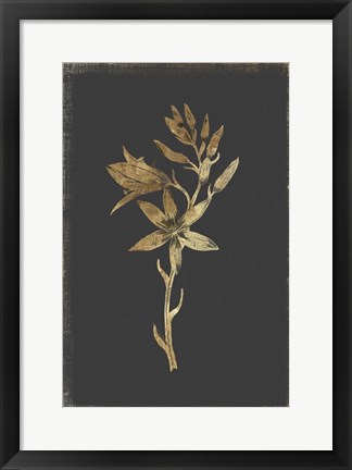 Framed Botanical Gold on Black I Print