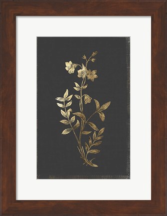 Framed Botanical Gold on Black IV Print