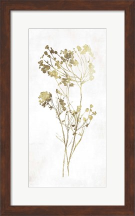 Framed Gold Botanical II Print