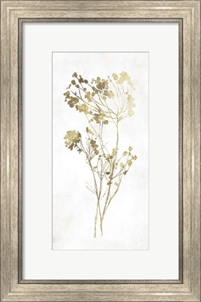 Framed Gold Botanical II Print