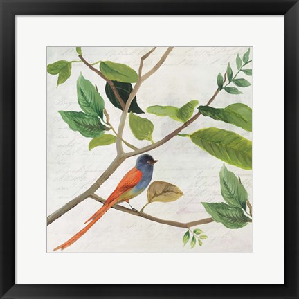 Framed Singing Bird II Print
