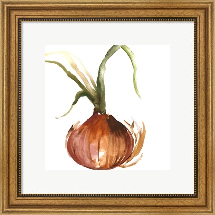 Framed Onion Print