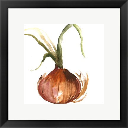 Framed Onion Print
