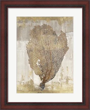 Framed Coral Splendor III Print