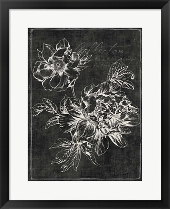 Framed Black Botanical I Print